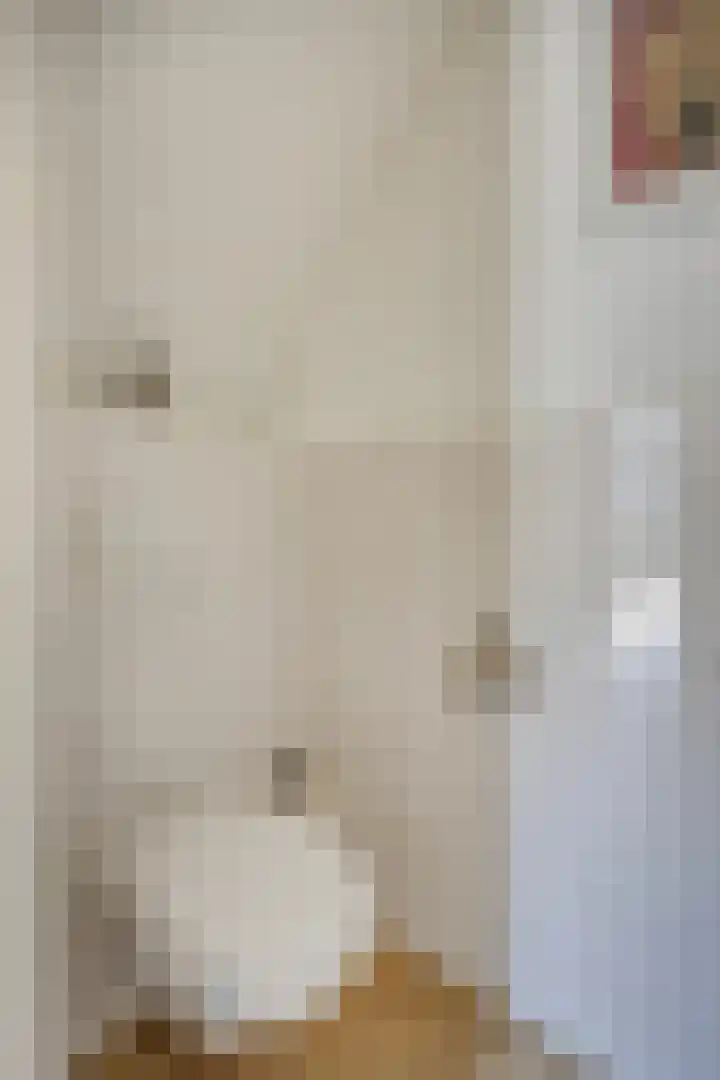 Linge Singel 28 Lienden thumbnail 10