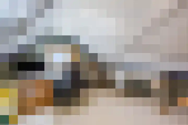Linge Singel 28 Lienden thumbnail 12