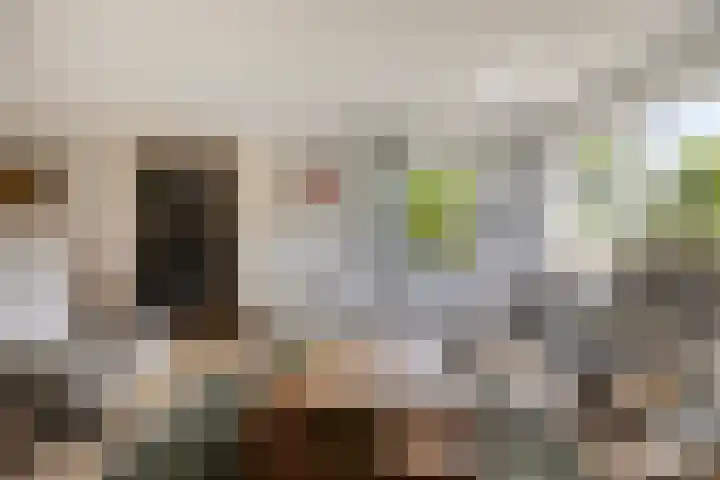 Linge Singel 28 Lienden thumbnail 14