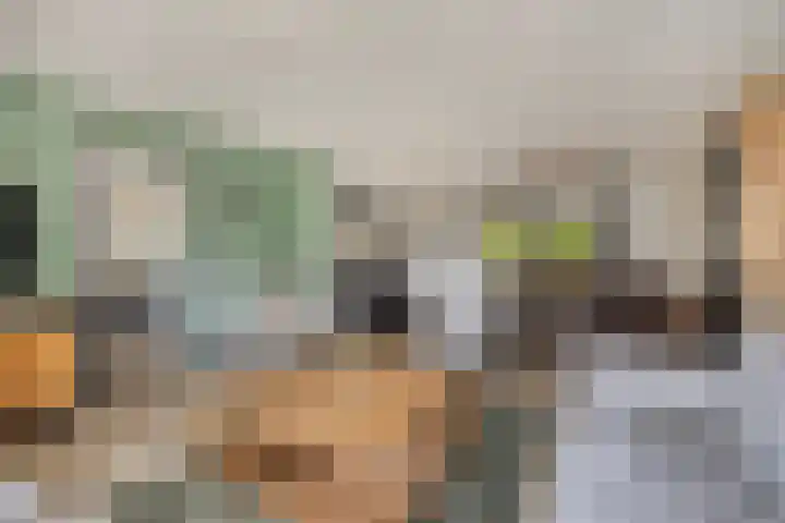 Linge Singel 28 Lienden thumbnail 15