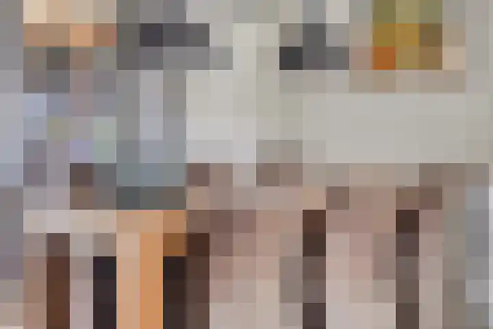 Linge Singel 28 Lienden thumbnail 17