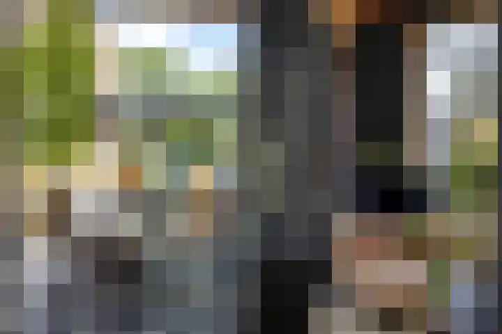 Linge Singel 28 Lienden thumbnail 18