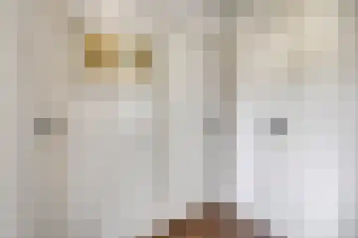 Linge Singel 28 Lienden thumbnail 22