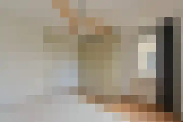 Linge Singel 28 Lienden thumbnail 27