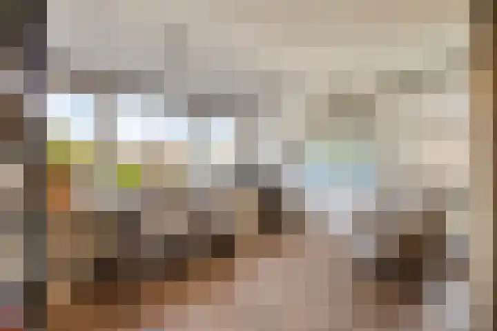 Linge Singel 28 Lienden thumbnail 29