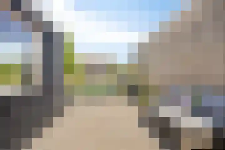 Linge Singel 28 Lienden thumbnail 31