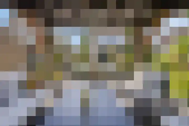 Linge Singel 28 Lienden thumbnail 32