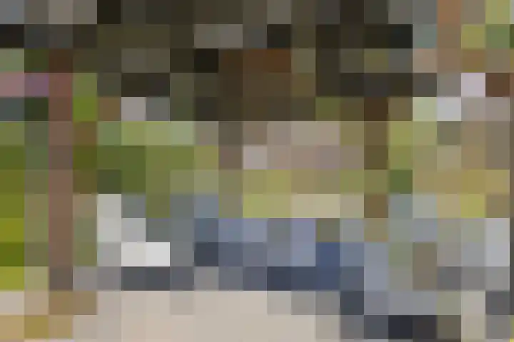 Linge Singel 28 Lienden thumbnail 33