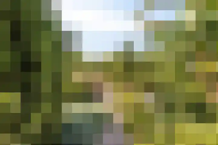 Linge Singel 28 Lienden thumbnail 34