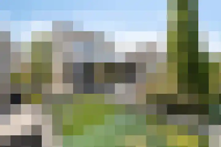 Linge Singel 28 Lienden thumbnail 35