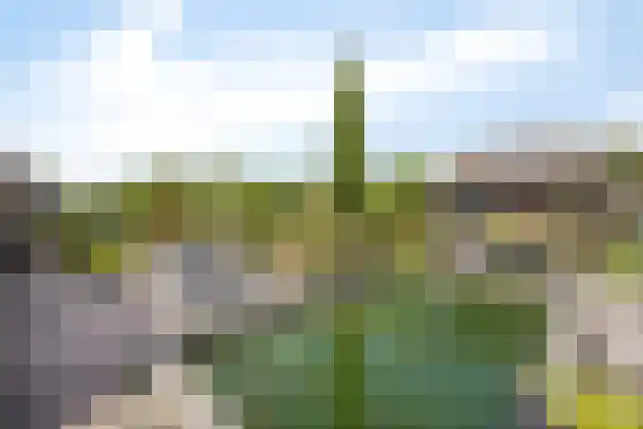 Linge Singel 28 Lienden thumbnail 36