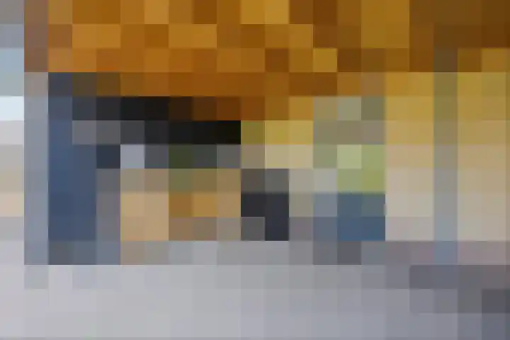 Linge Singel 28 Lienden thumbnail 37