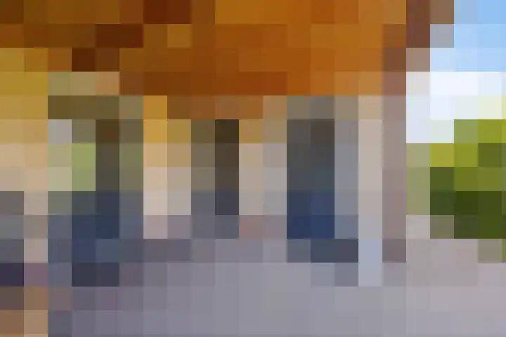 Linge Singel 28 Lienden thumbnail 38