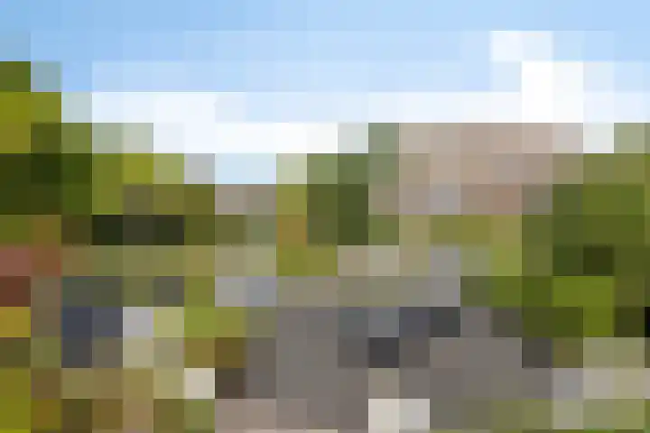 Linge Singel 28 Lienden thumbnail 39