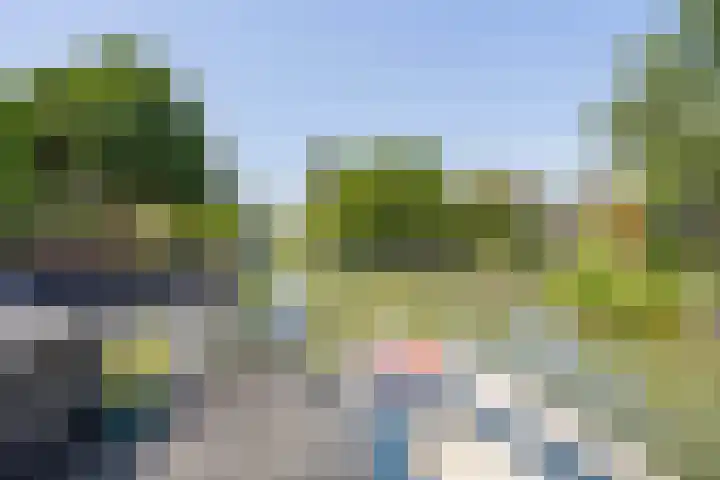 Linge Singel 28 Lienden thumbnail 41