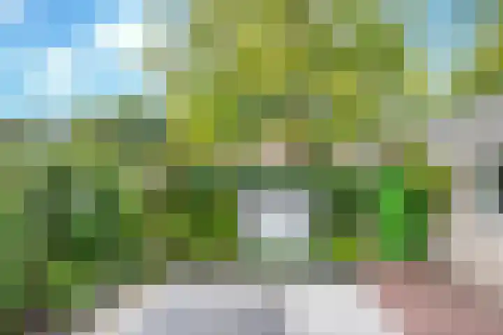 Linge Singel 28 Lienden thumbnail 42