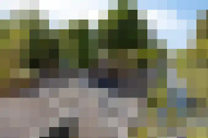 Linge Singel 28 Lienden thumbnail 43