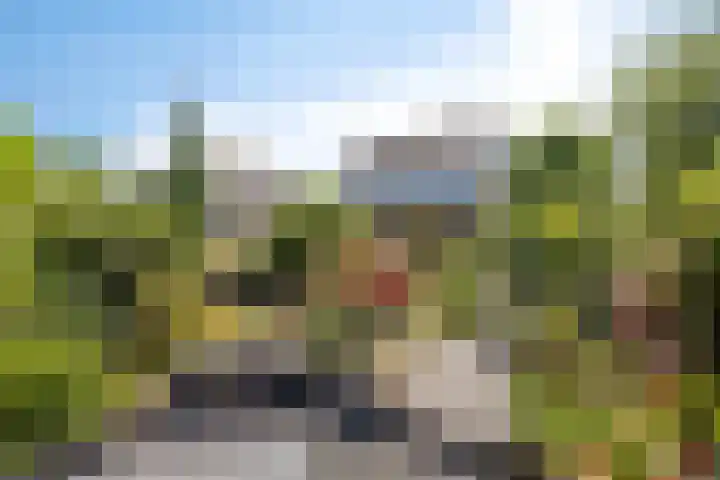 Linge Singel 28 Lienden thumbnail 44