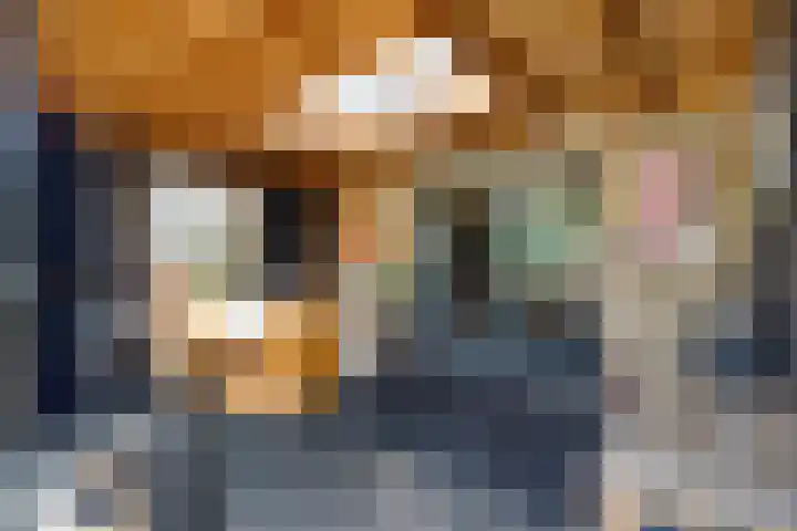 Linge Singel 28 Lienden thumbnail 47