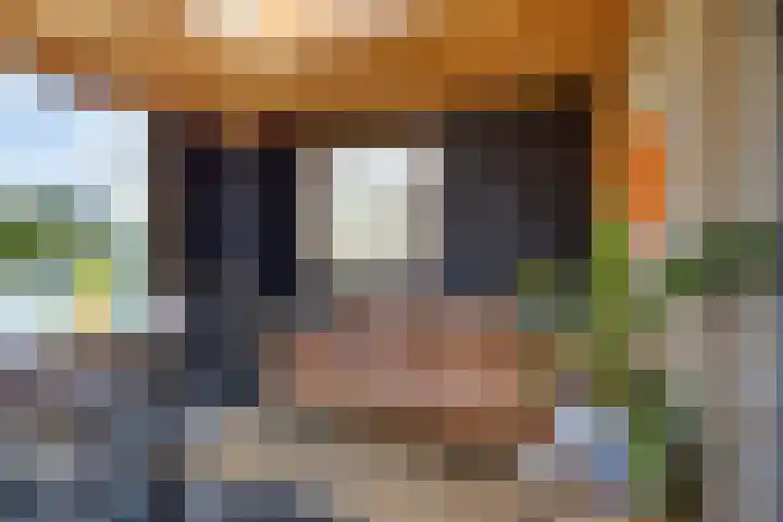Linge Singel 28 Lienden thumbnail 48