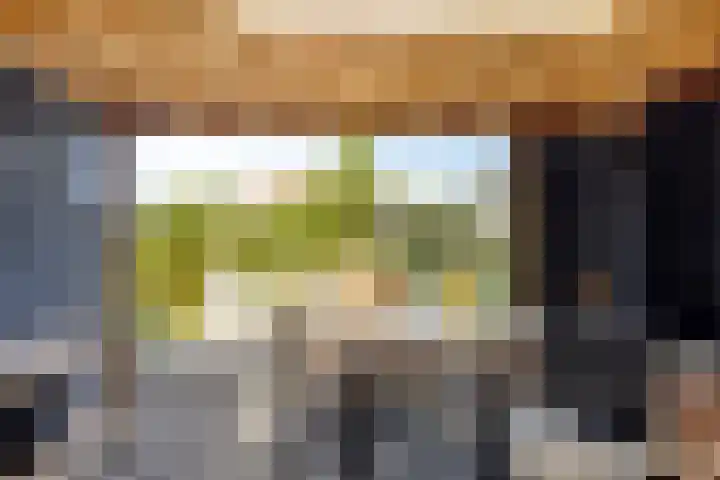 Linge Singel 28 Lienden thumbnail 49