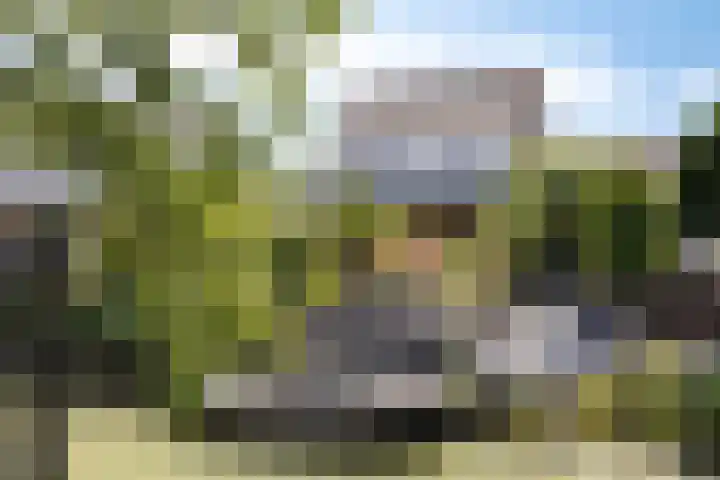 Linge Singel 28 Lienden thumbnail 5