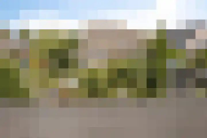 Linge Singel 28 Lienden thumbnail 50