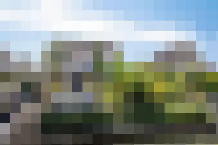 Linge Singel 28 Lienden thumbnail 51