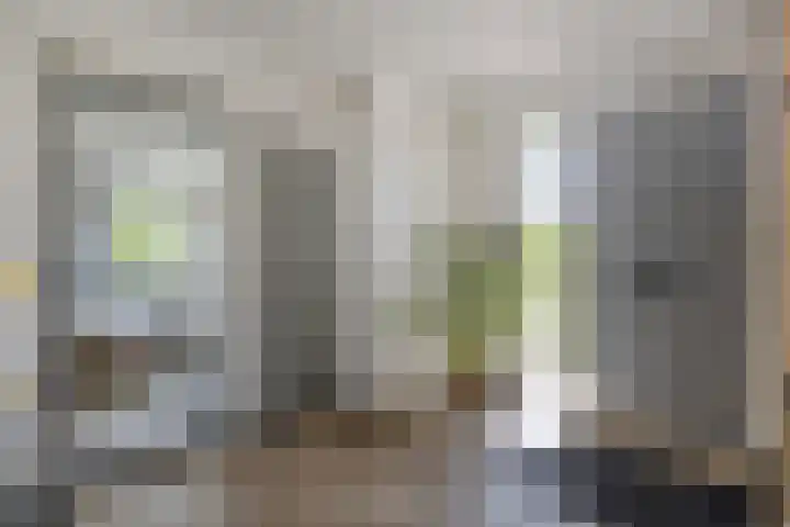 Linge Singel 28 Lienden thumbnail 9