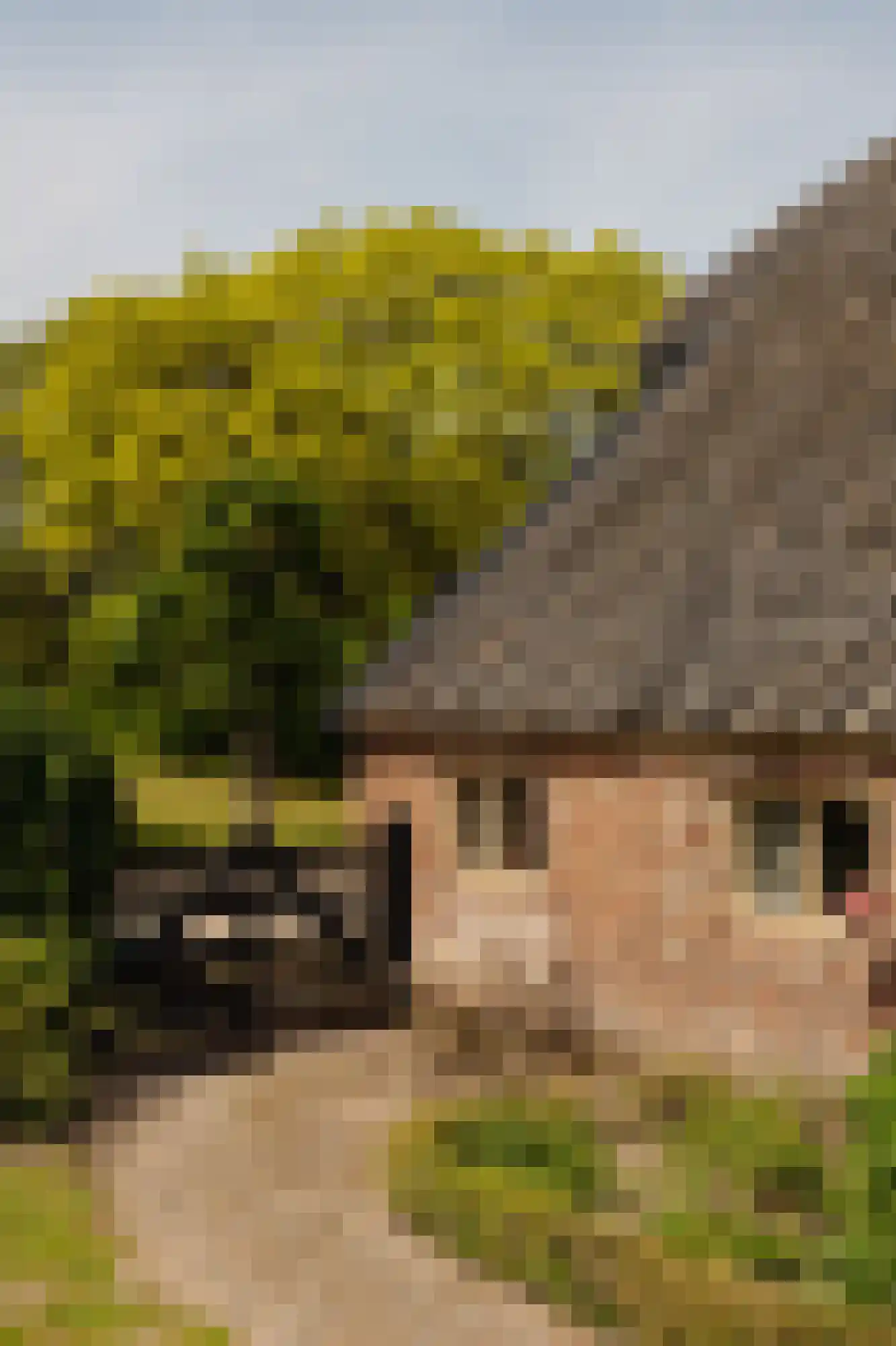 Lingedijk 30 Wadenoijen thumbnail 14