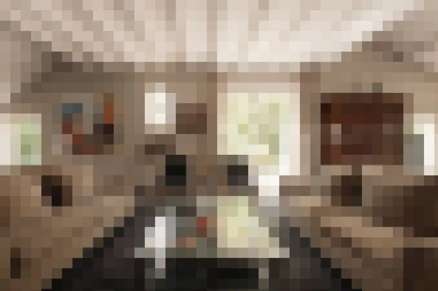 Lingedijk 30 Wadenoijen thumbnail 4