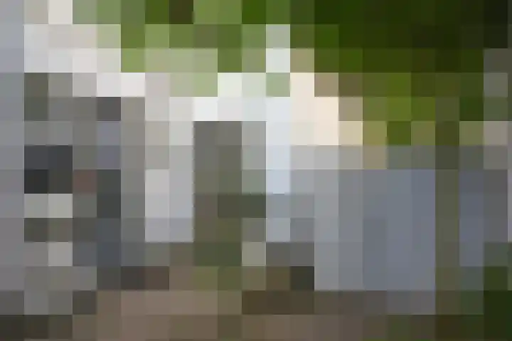 Lingedijk 67 Tricht thumbnail 10