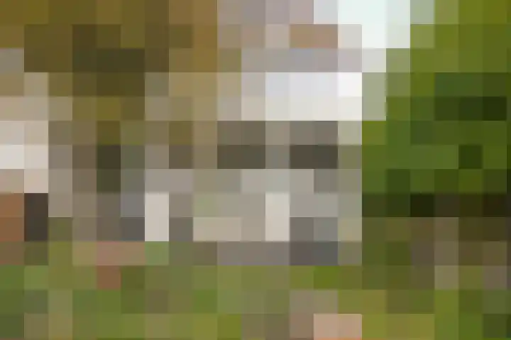 Lingedijk 67 Tricht thumbnail 47