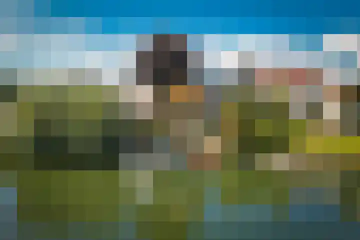 Lingedijk 67 Tricht thumbnail 5