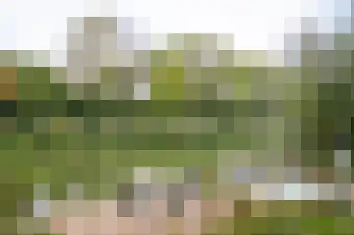 Lingedijk 67 Tricht thumbnail 51