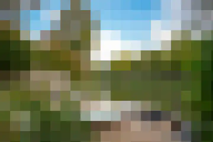 Lingedijk 67 Tricht thumbnail 52