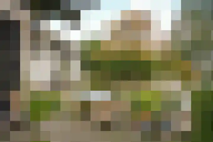 Lingedijk 67 Tricht thumbnail 56