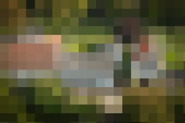 Lingedijk 67 Tricht thumbnail 6