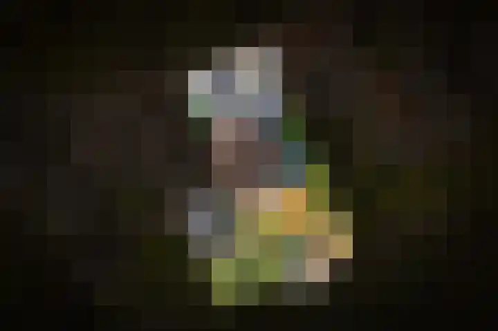 Lingedijk 67 Tricht thumbnail 62