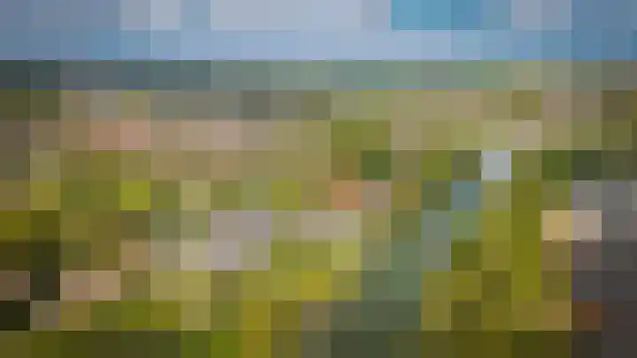 Lingedijk 67 Tricht thumbnail 63