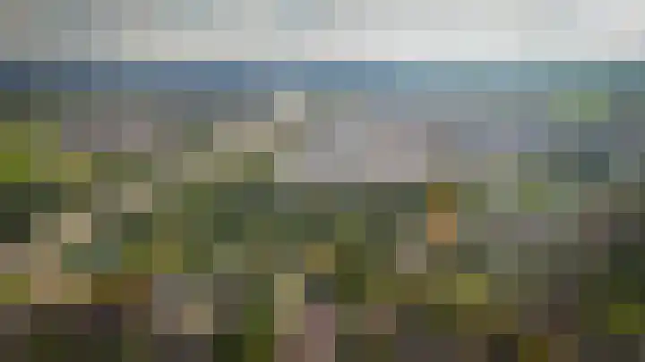 Lingedijk 67 Tricht thumbnail 64