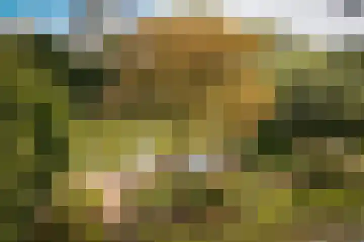 Lingedijk 67 Tricht thumbnail 7