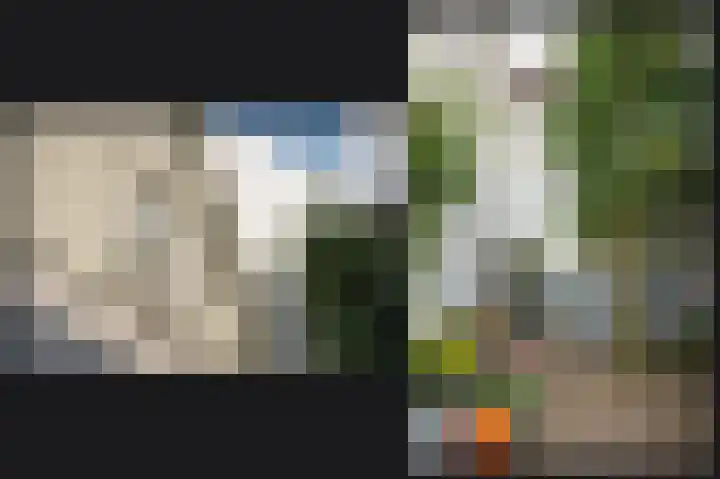 Lingedijk 67 Tricht thumbnail 9