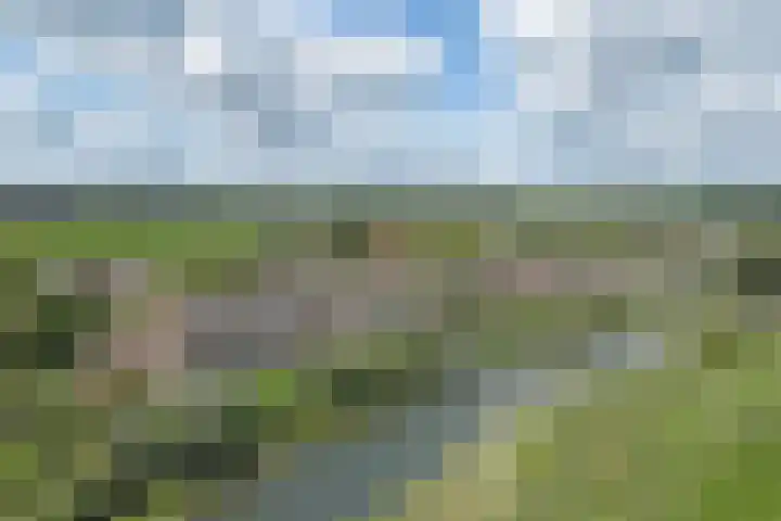 Lingedijk 82 Acquoy thumbnail 68