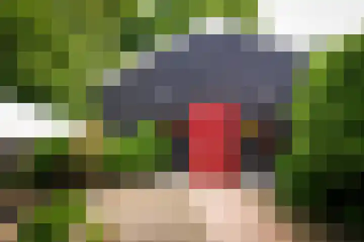 Lingedijk 9 Gellicum thumbnail 26