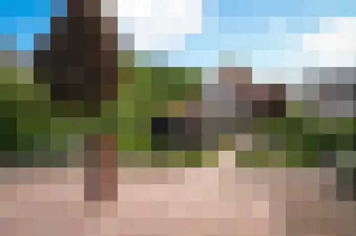 Lingedijk 9 Gellicum thumbnail 30