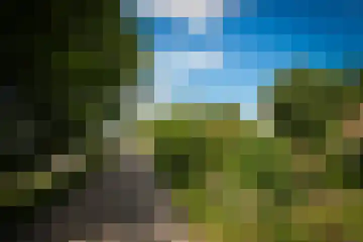 Lingedijk 9 Gellicum thumbnail 34