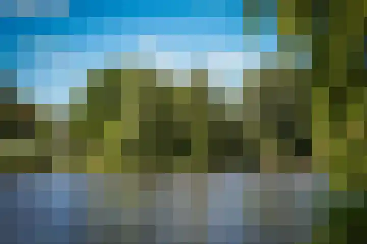 Lingedijk 9 Gellicum thumbnail 37