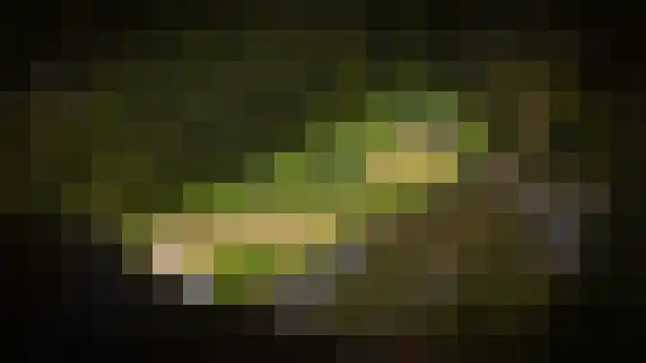 Lingedijk 9 Gellicum thumbnail 38