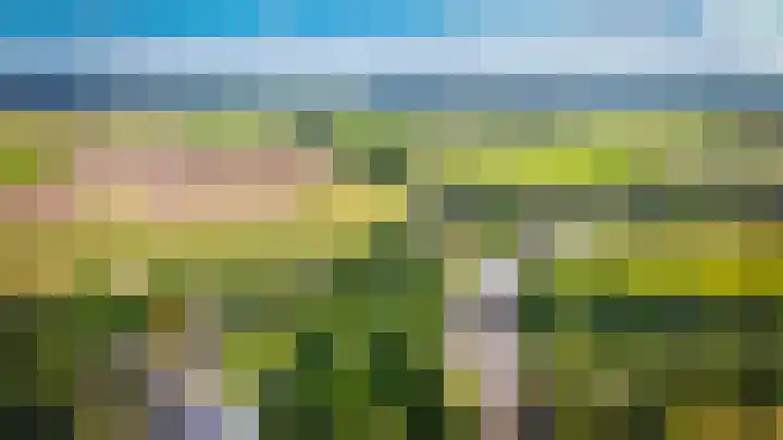 Lingedijk 9 Gellicum thumbnail 41